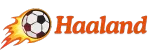 haaland.ceo